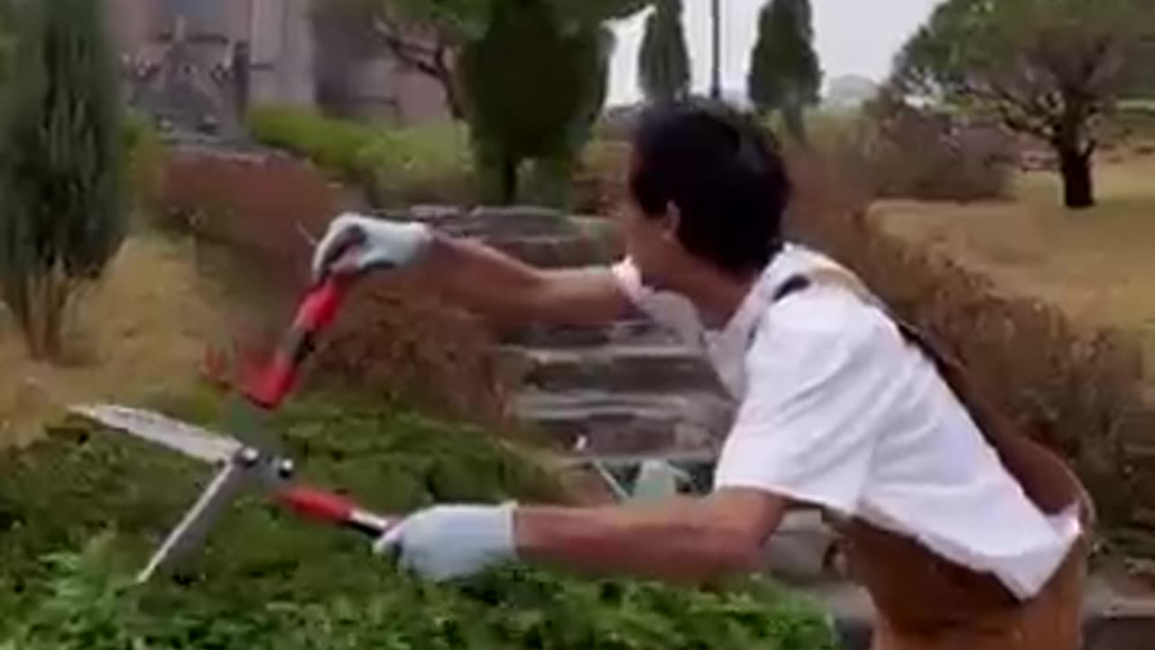 Gardening gone Wrong