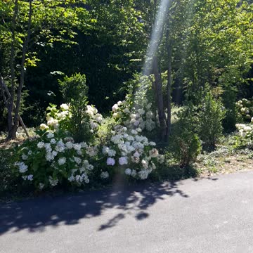 Walking near the lake this is heaven