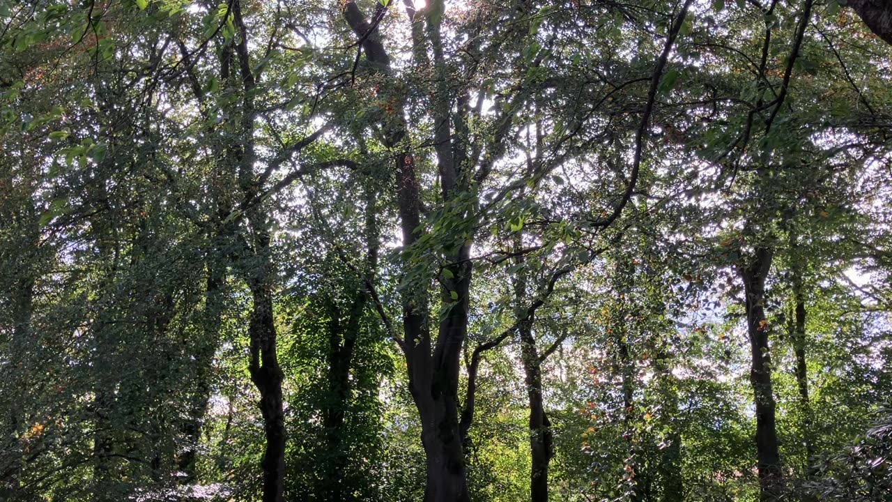 Oct 2023 firefighters warn UK unready for wildfires