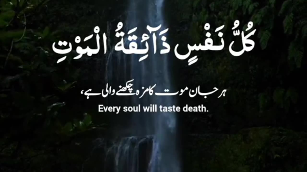 Beautiful Quran Recitation By Abdul Rahman Mossad || With Urdu & English Translation