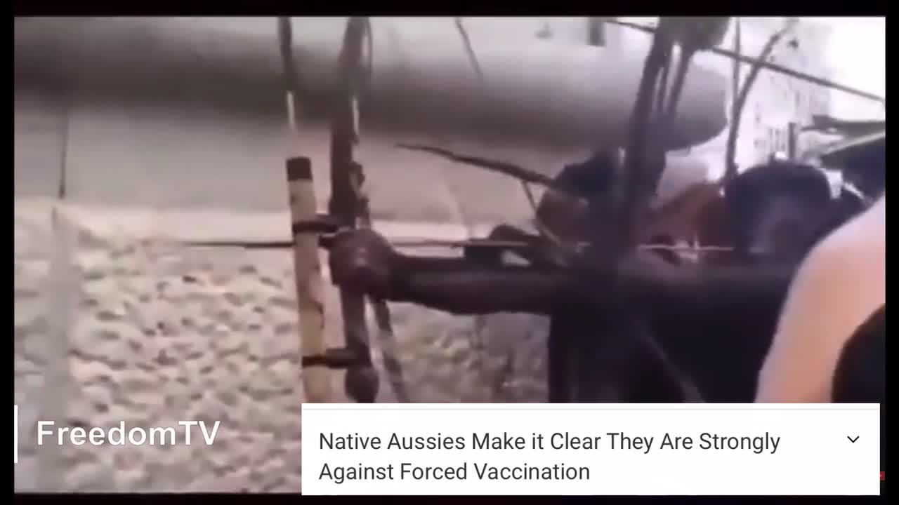 Bow and arrows vs needles