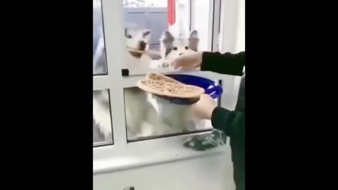 Don't forget that little fella!