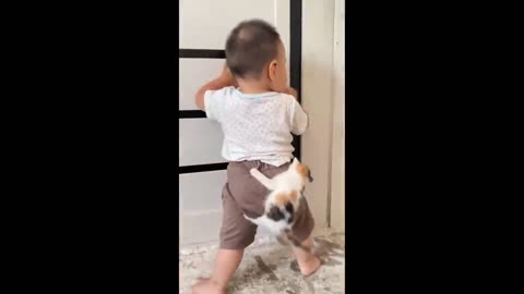 Cute Baby Animals Videos Compilation - Funny and Cute Moment of the Animals - Cutest Animals