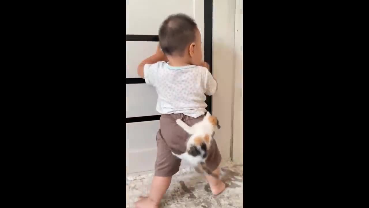 Cute Baby Animals Videos Compilation - Funny and Cute Moment of the Animals - Cutest Animals