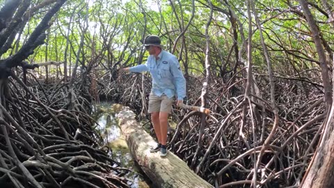 SURVIVAL CHALLENGE: Australia's Most Defining Shipwreck (No Food, No Water, No Shelter)