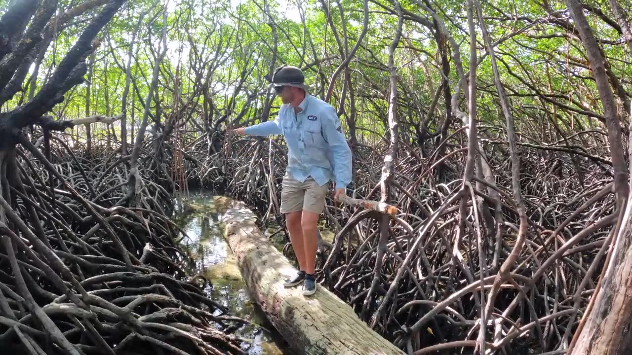 SURVIVAL CHALLENGE: Australia's Most Defining Shipwreck (No Food, No Water, No Shelter)