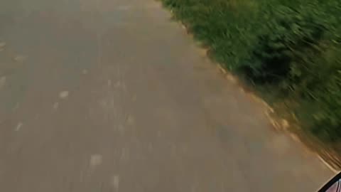Bike Lover