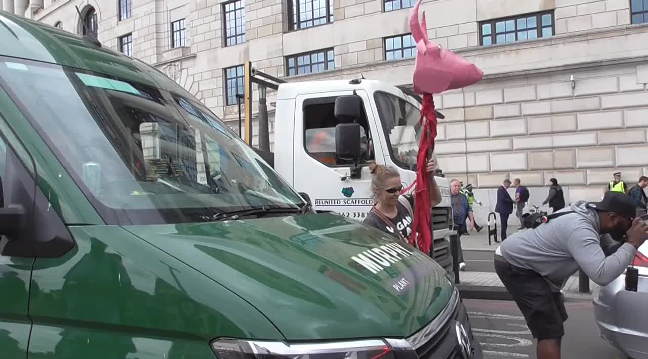 A WOMEN WITH A PINK COWS HEAD TRIED AGREVATE A DRIVER SO HE PUT HIS WINDOW WIPERS AND SPRAY ON