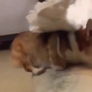 You can do it if you believe it