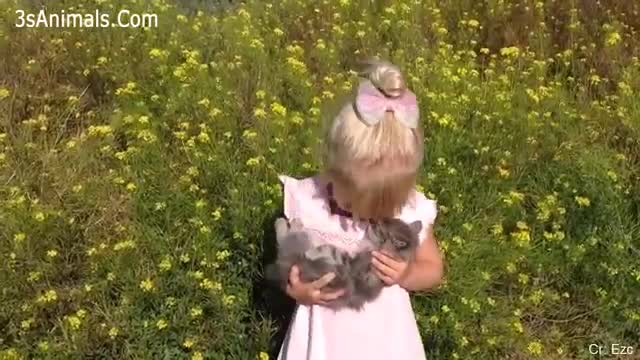 Cute Baby play with cat