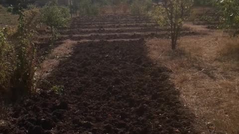 Arable land
