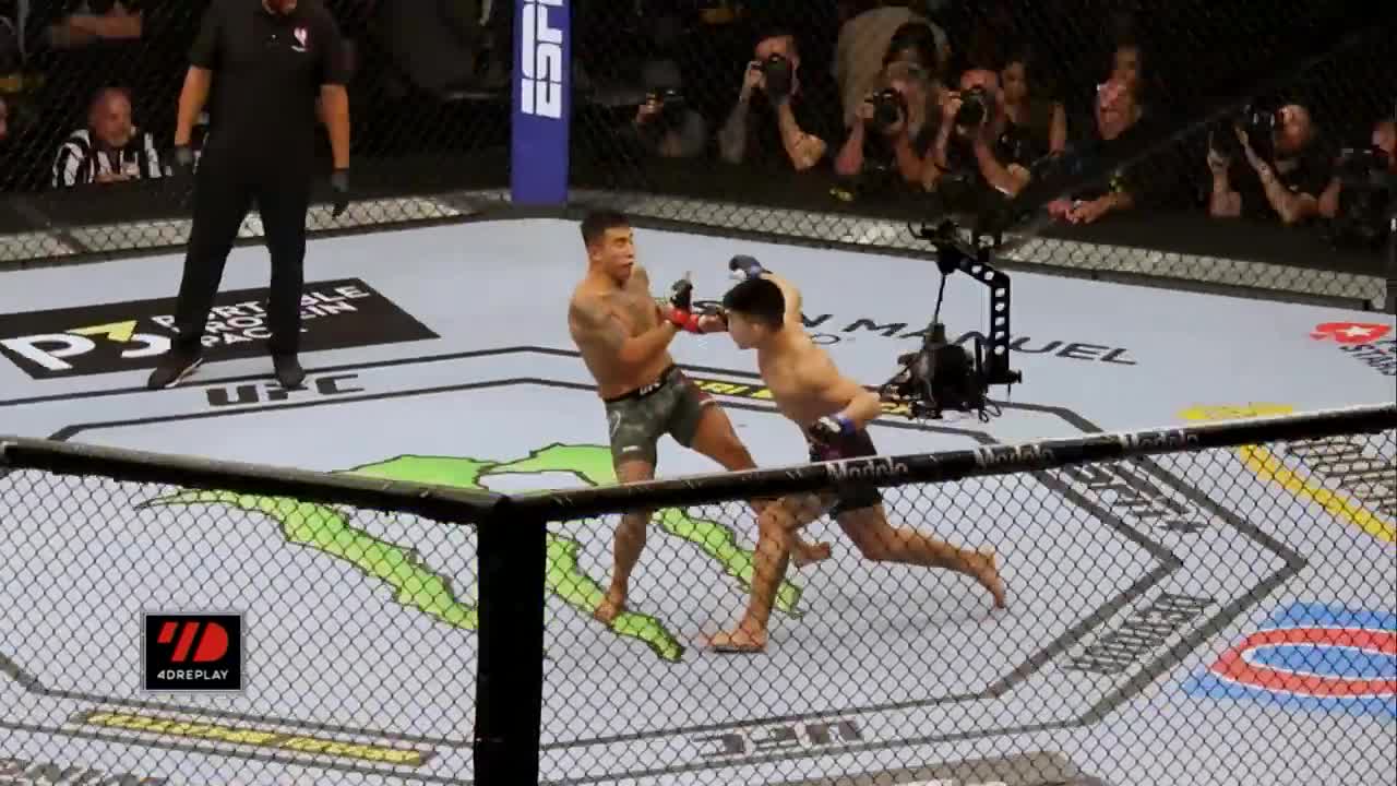 UFC Vegas 60 full fight finish highlights