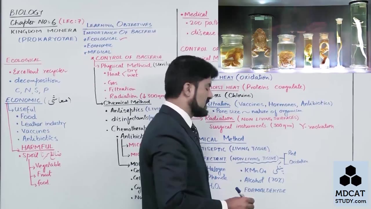 LEC#7 IMPORTANCE OF BACTERIA