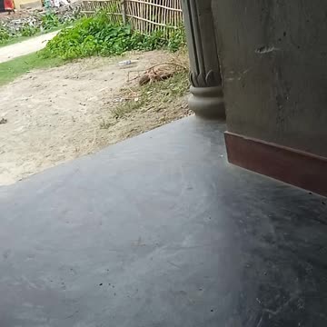 Beautiful and very nice