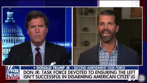 Tucker Carlson & Trump Jr discuss Trump Jr's new 2A Task Force