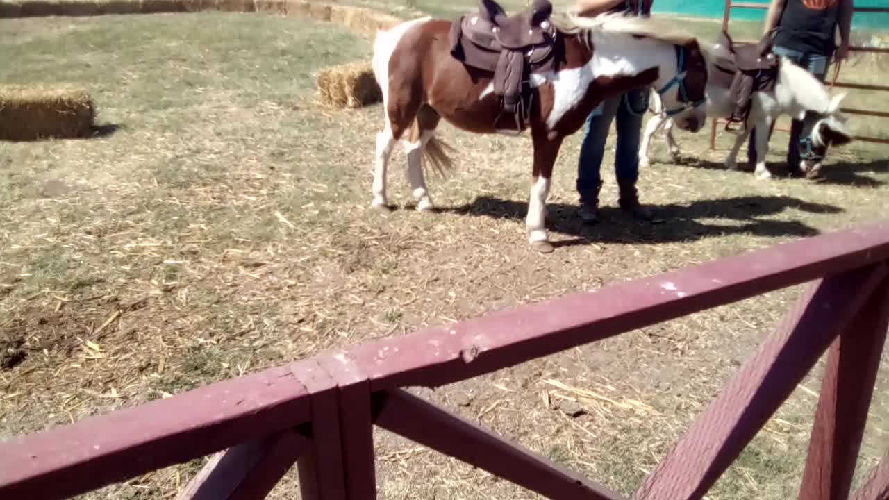 Klausmeyer Farm & Pumpkin Patch in Kansas