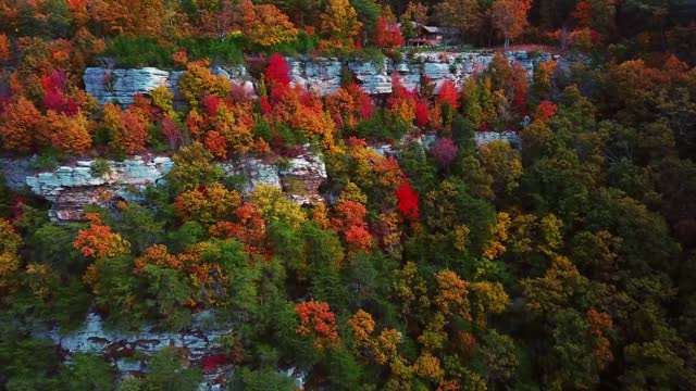 The autumn forest is beautiful!