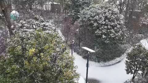 29_ Birds sing when it snows (original sound)