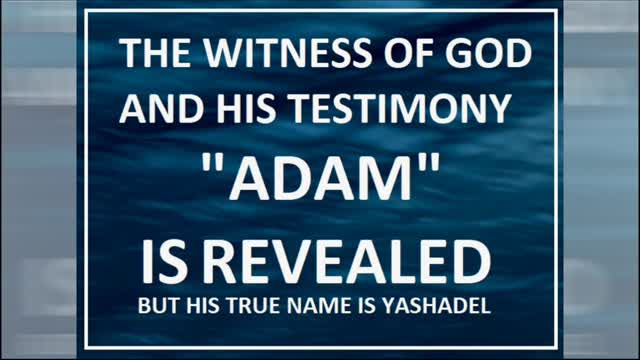 The REVEAL Of God's Witness