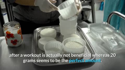 How Much Is Too Much Protein?