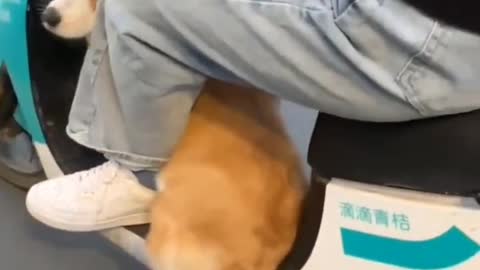 Share interesting videos 4