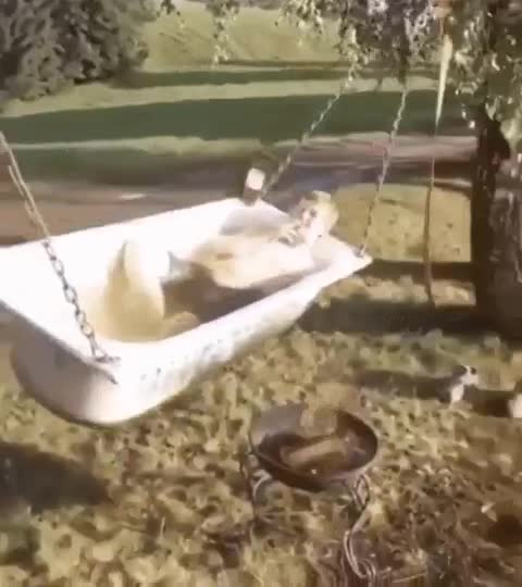 Bathroom in nature:Ванная на природе