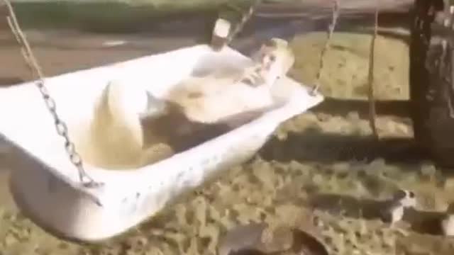 Bathroom in nature:Ванная на природе