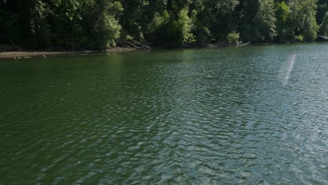 Come ride the Canby Ferry with me!