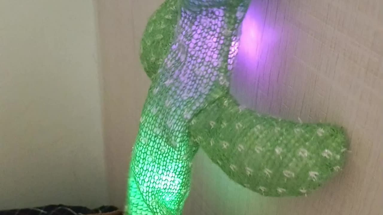 Dancing cactus