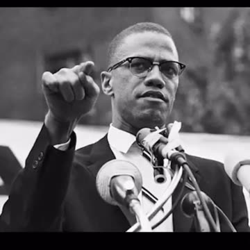 Malcom X was assissinated for naming the Jew