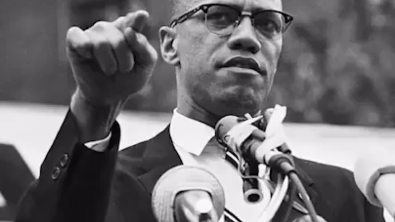 Malcom X was assissinated for naming the Jew