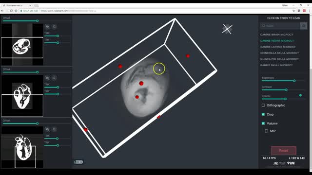 Online Medical Imaging Viewer - 3D Veterinary Anatomy & Learning IVALA®