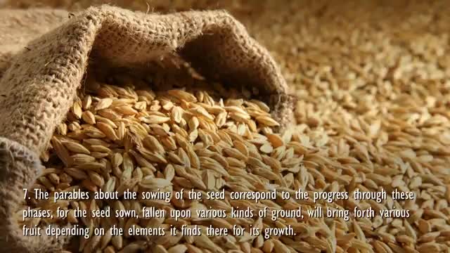 Be honest with yourself... Are you Path, Rock, Thorn or Field ❤️ Jesus explains Matthew 1324-30