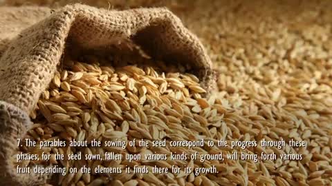 Be honest with yourself... Are you Path, Rock, Thorn or Field ❤️ Jesus explains Matthew 1324-30