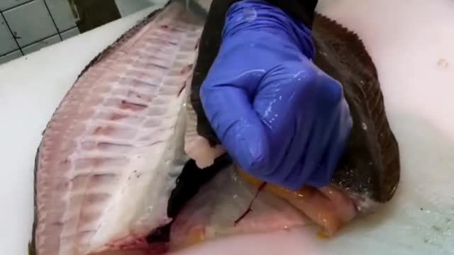 How to Fillet Giant Flounder