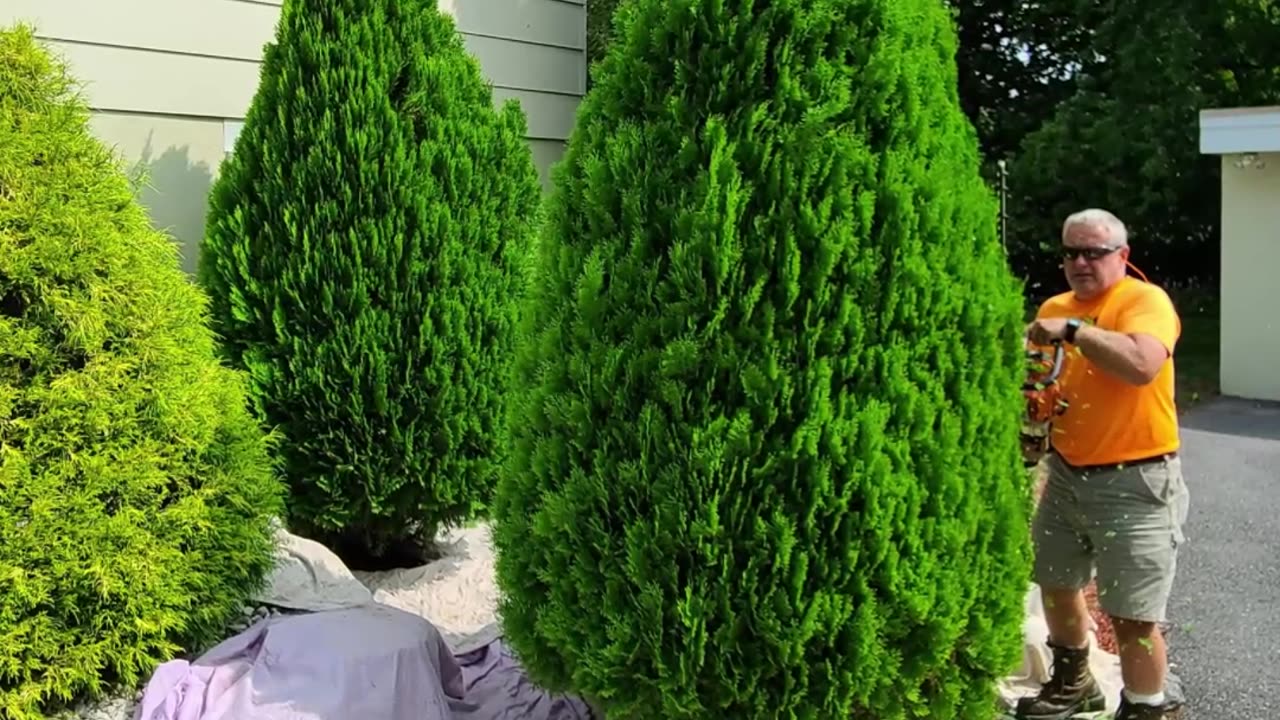 Shrub Trimming Boonsboro Maryland Landscape Company