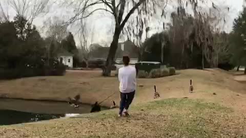 Girl in white gets pulled while black dog chases birds