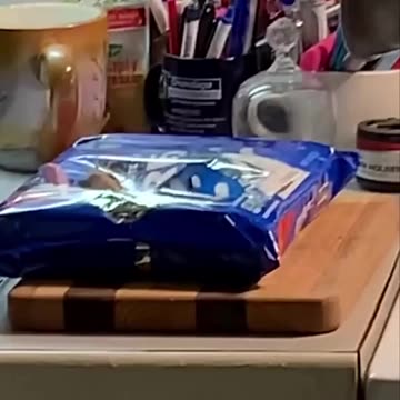 Ratatouille loves those Oreo cookies 😂