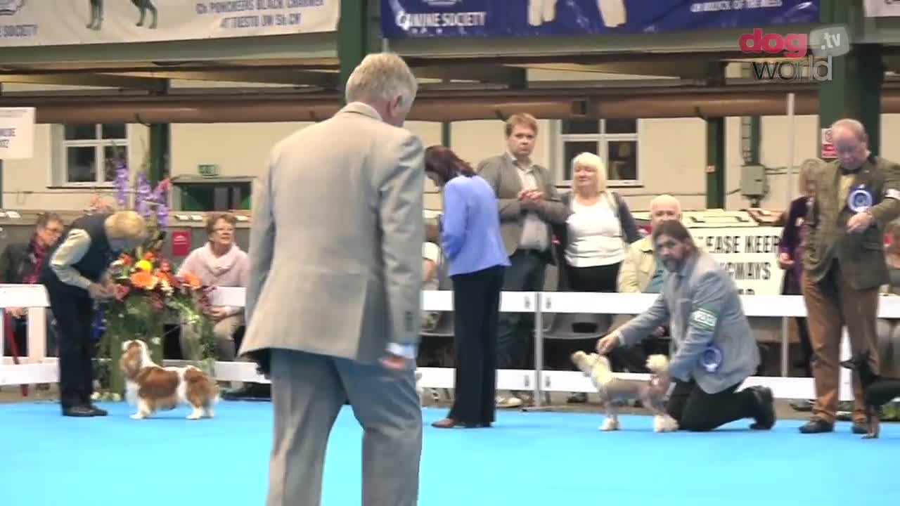 midland counties show 2016