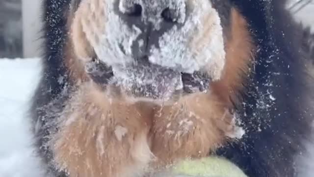 As a long time? I play in snow