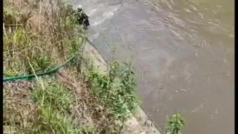 Off-Duty Police Officer Saves Stranded Dog in Canal