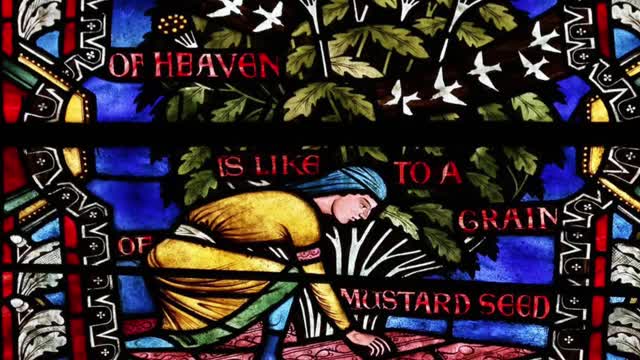 27th Sunday in Ordinary Time Homily Fr. Michael Goodyear