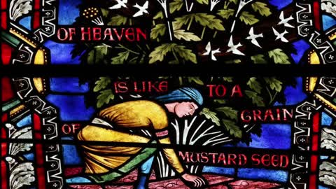 27th Sunday in Ordinary Time Homily Fr. Michael Goodyear