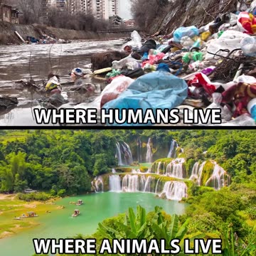Where Animals Live vs Where Humans Live