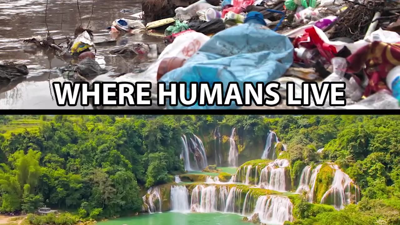 Where Animals Live vs Where Humans Live