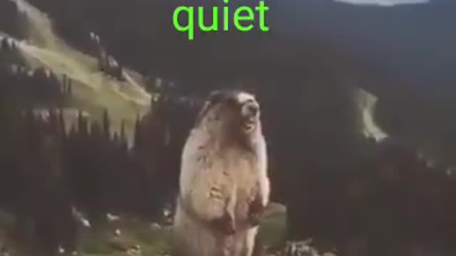 Keep up the silent