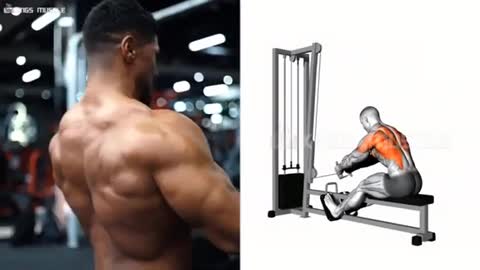 The best workout for back