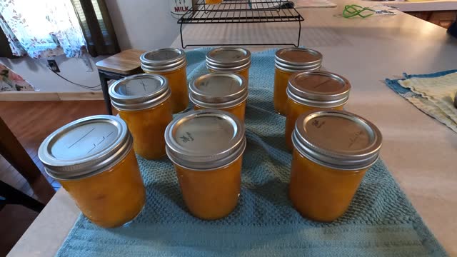 Make your own Aprium Jam