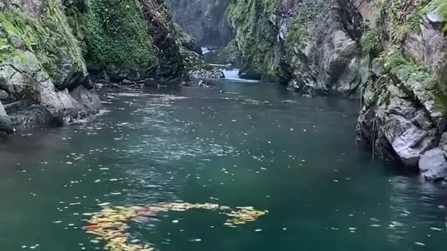 Nature