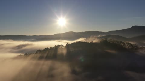 Mountains Fog Clouds Sunset Sunrise Forest